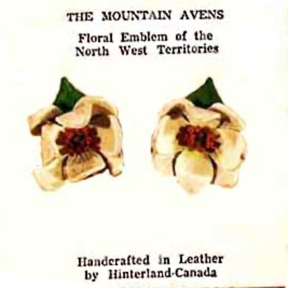 EARRINGS, VINTAGE LEATHER MOUNTAIN AVENS FLOWER HANDMADE, HINTERLAND CANADA, - Picture 1 of 2